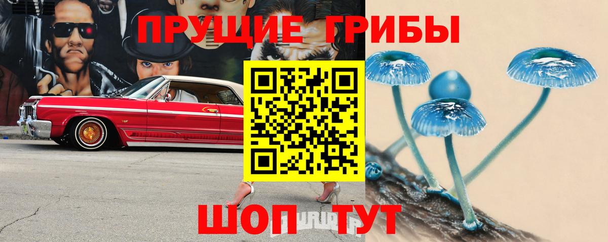Ступино  Галлюциногенные грибы Magic Shrooms  Вход с VPN 